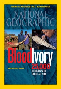 NG blood ivory