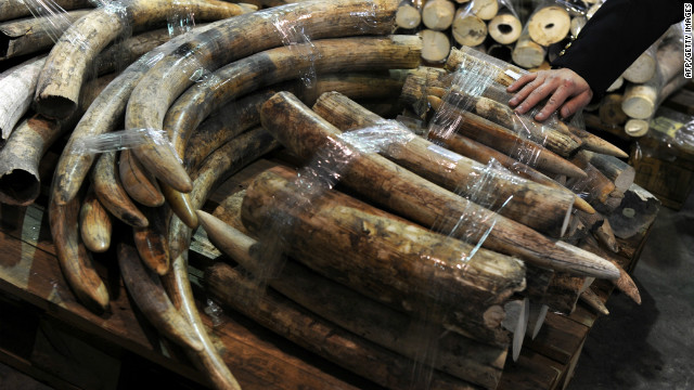 Stock piles of illegal ivory